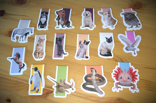Bulk Order: Magnetic Bookmarks (5 bookmarks per order)
