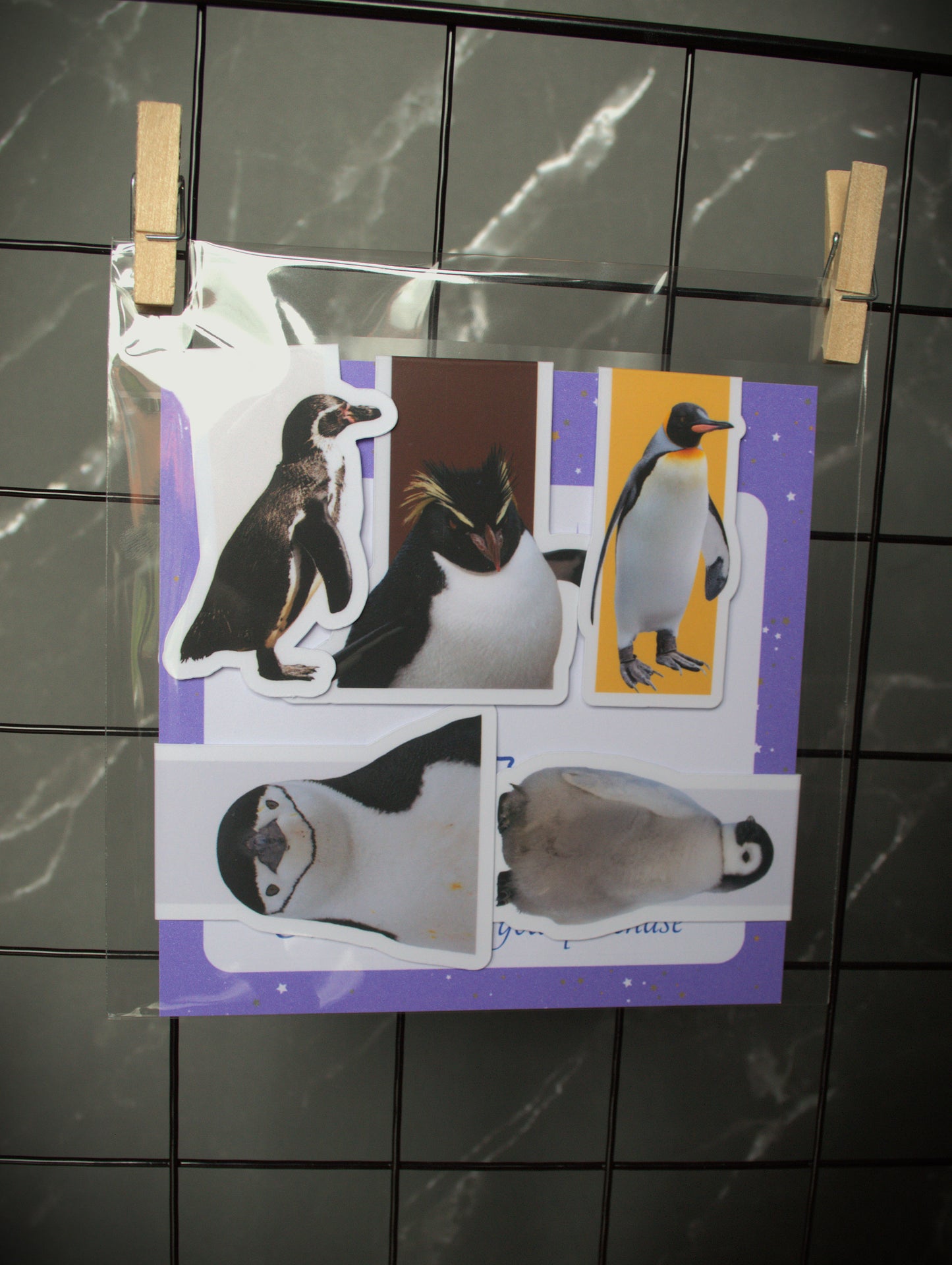 Bulk Order: Magnetic Bookmarks (5 bookmarks per order)