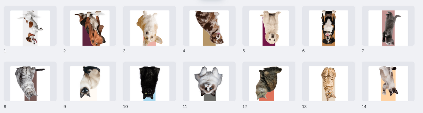 Bulk Order: Magnetic Bookmarks (5 bookmarks per order)