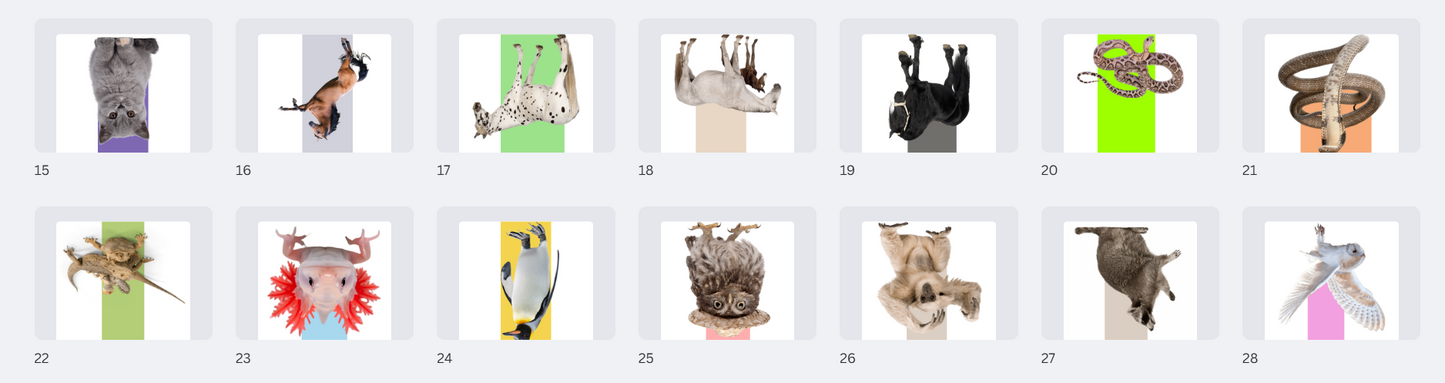Bulk Order: Magnetic Bookmarks (5 bookmarks per order)